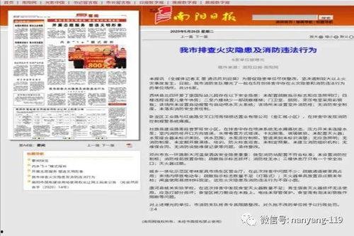 南阳包谷新闻头条,探寻千年古韵，品味现代魅力