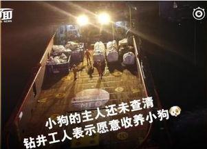 4月18号新闻头条视频,聚焦重大新闻事件深度解析